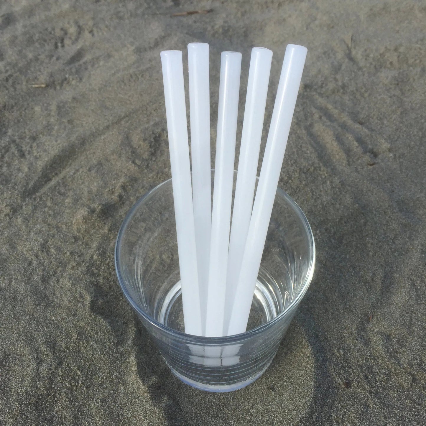 Surfside Sips Set of Five Glass Straws