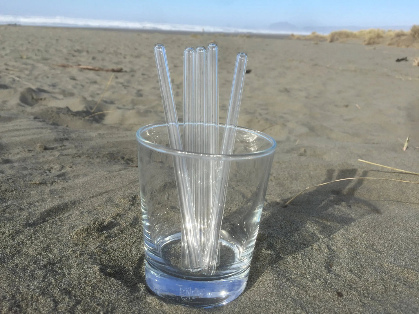 Surfside Sips Set of Five Glass Straws