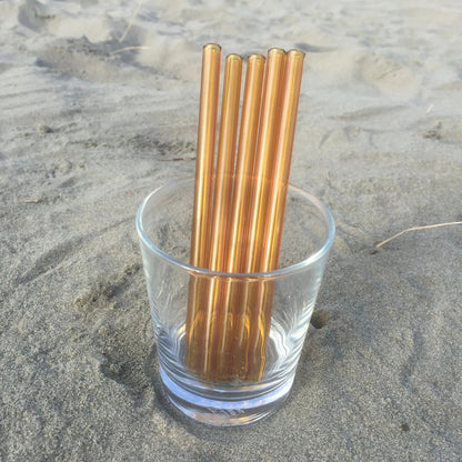 Surfside Sips Set of Five Glass Straws