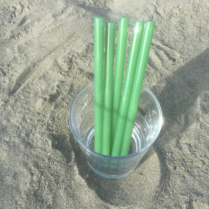 Surfside Sips Set of Five Glass Straws