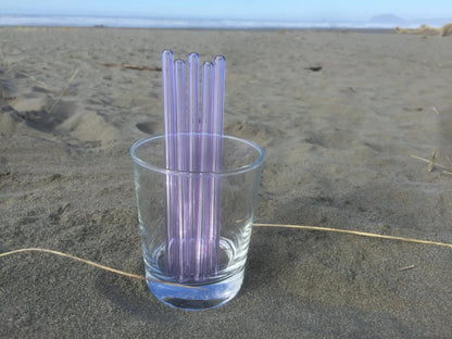 Surfside Sips Set of Five Glass Straws
