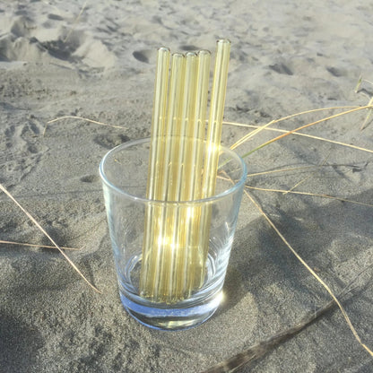 Surfside Sips Set of Five Glass Straws