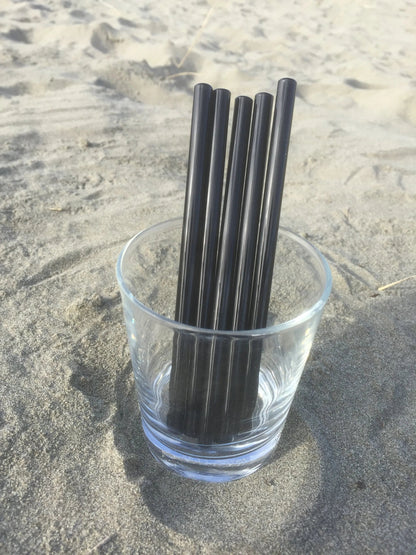 Surfside Sips Set of Five Glass Straws
