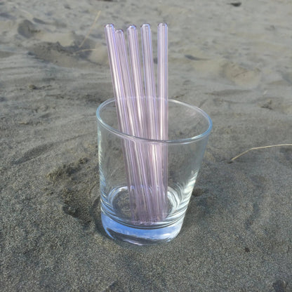 Surfside Sips Set of Five Glass Straws