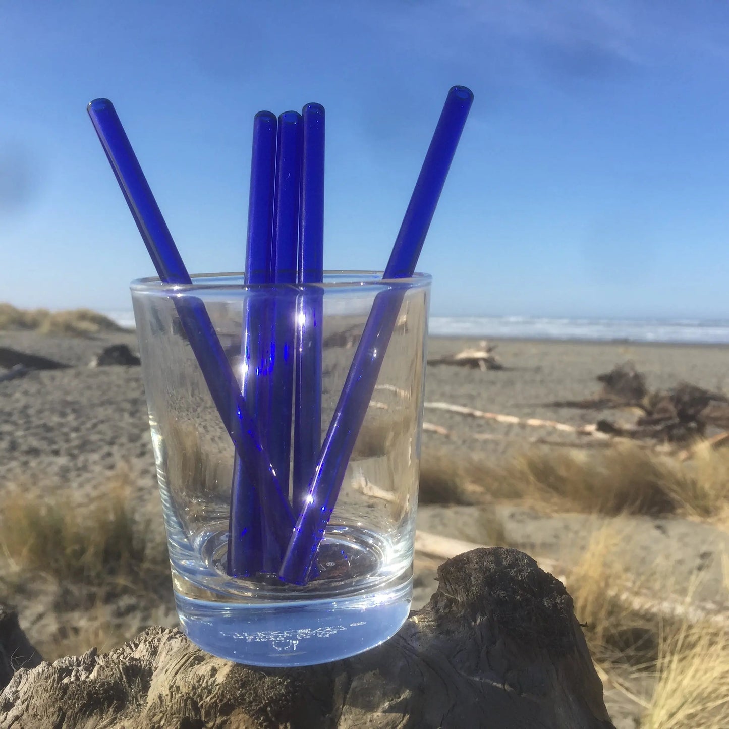 Surfside Sips Set of Five Glass Straws
