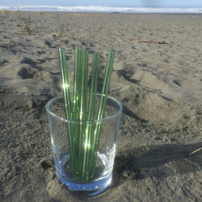 Surfside Sips Set of Five Glass Straws