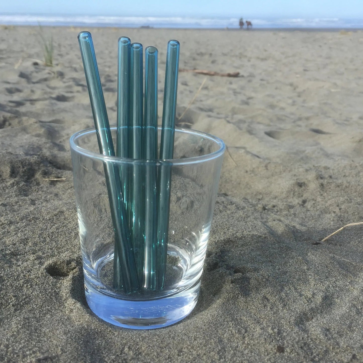Surfside Sips Set of Five Glass Straws