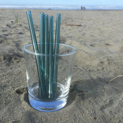 Surfside Sips Set of Five Glass Straws