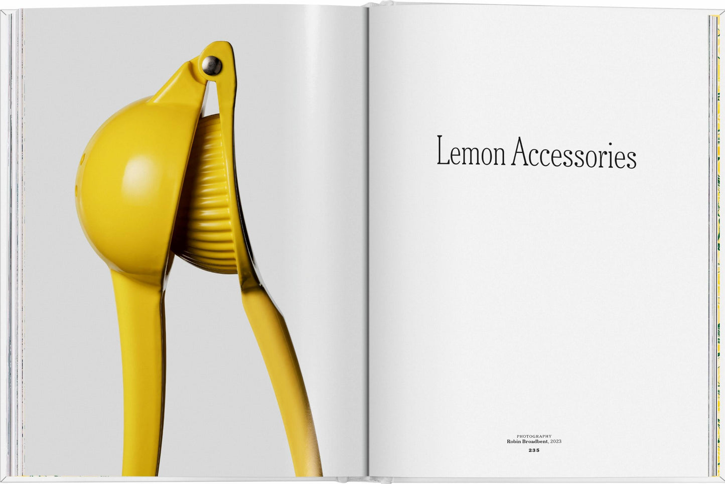 The Gourmand's Lemon. A Collection of Stories and Recipes (English) - Taschen