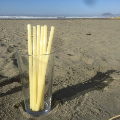 Surfside Sips Set of Five Glass Straws