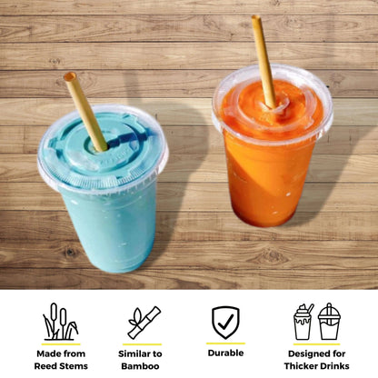 7.9" Jumbo Reed Straws