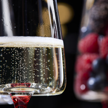 Lemonsoda - Concave Champagne Glasses - 9oz