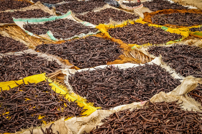 Hybrid Madagascar Mexican Cured Vanilla Beans - Whole Grade A Vanilla Pods for Vanilla Extract and Baking
