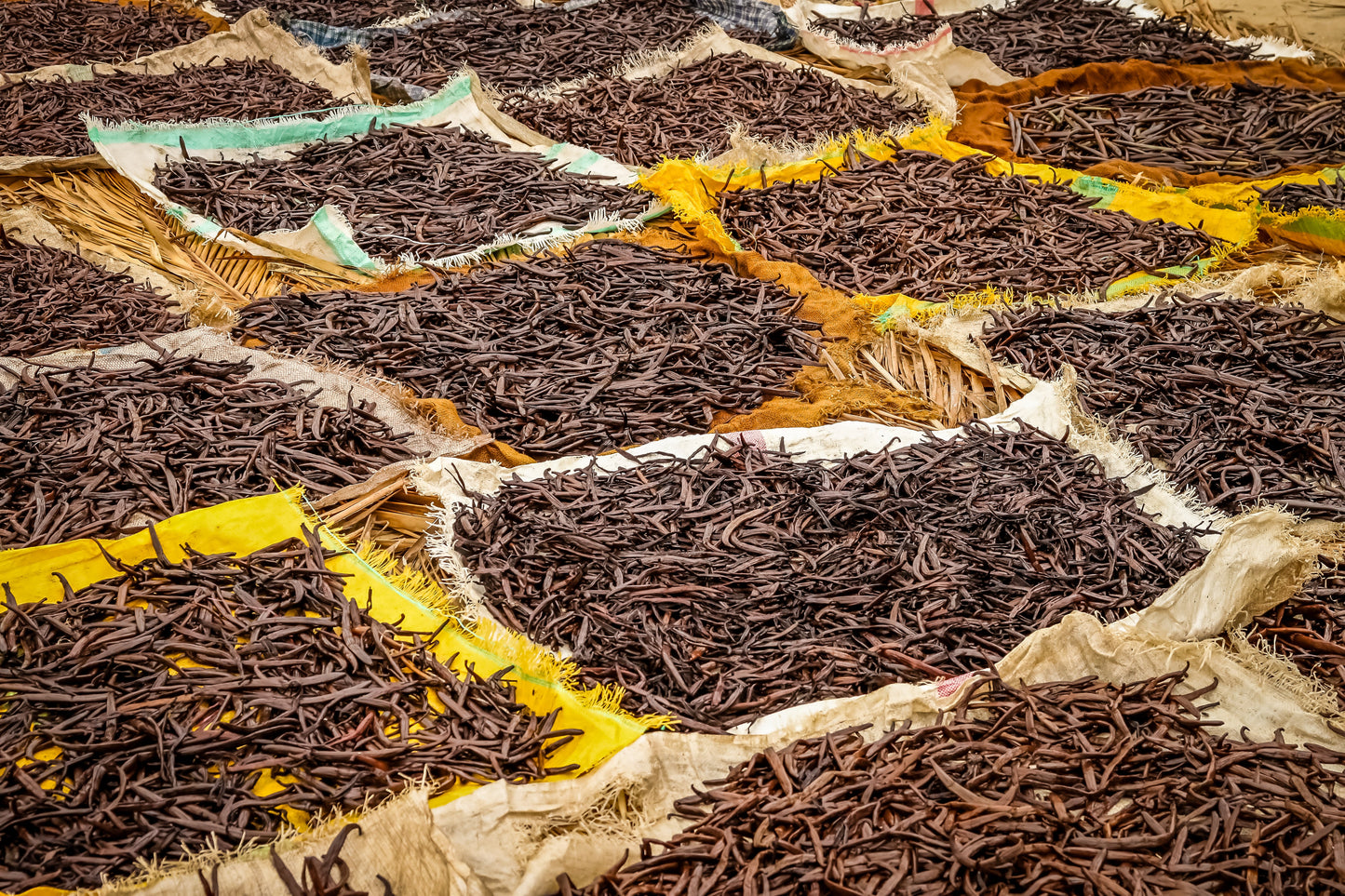 Sumatra Vanilla Beans - Whole Grade A Vanilla Pods for Vanilla Extract and Baking