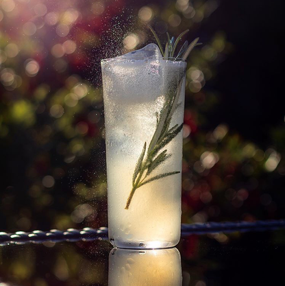 NUDE USA Savage Set of 4 High Ball Glasses